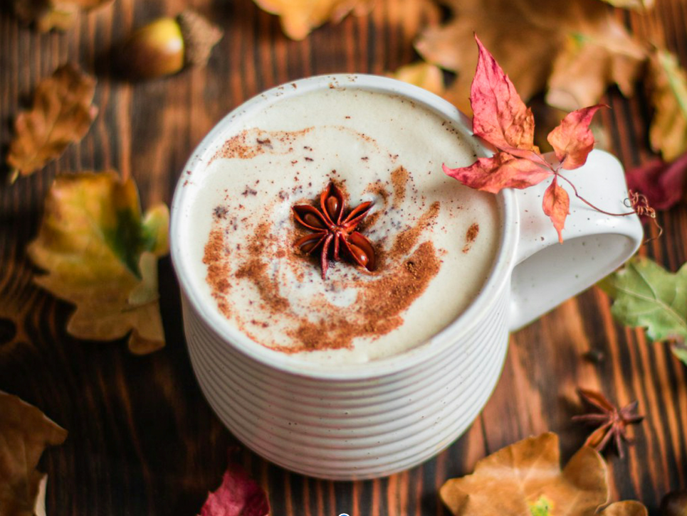 Chasing Autumn: Why Fall Can't Wait