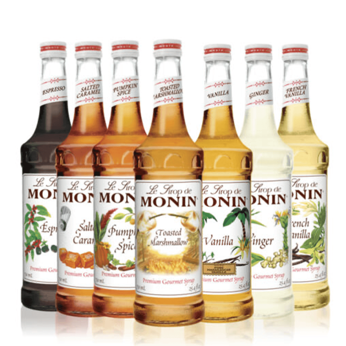 Monin Syrup - Build Your Own Case of 12 - Wholesale Price