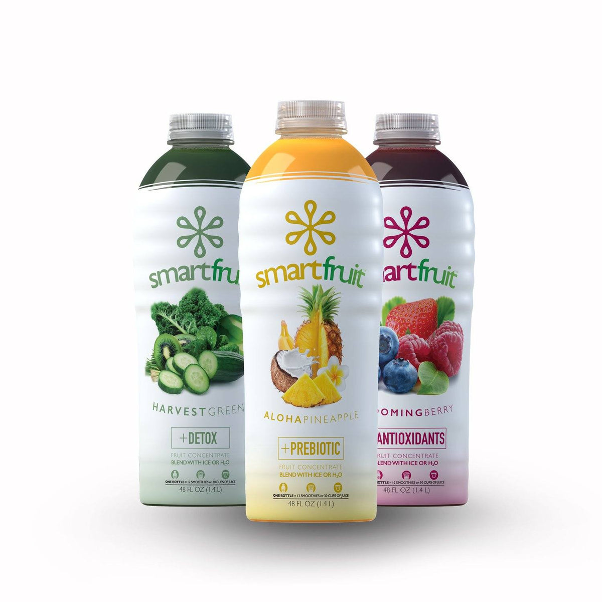 Smartfruit Fruit Puree (Mixed Case) Barista Underground