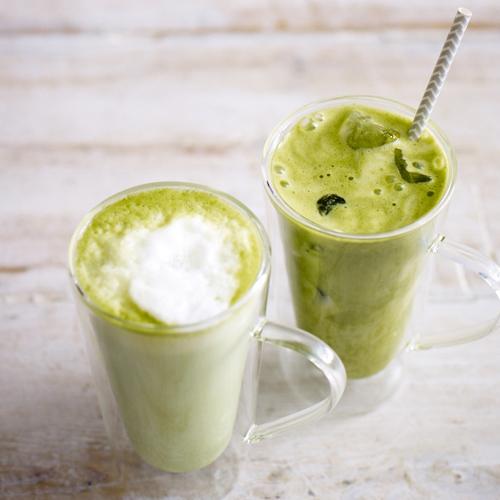 TeaPigs Matcha Lattes