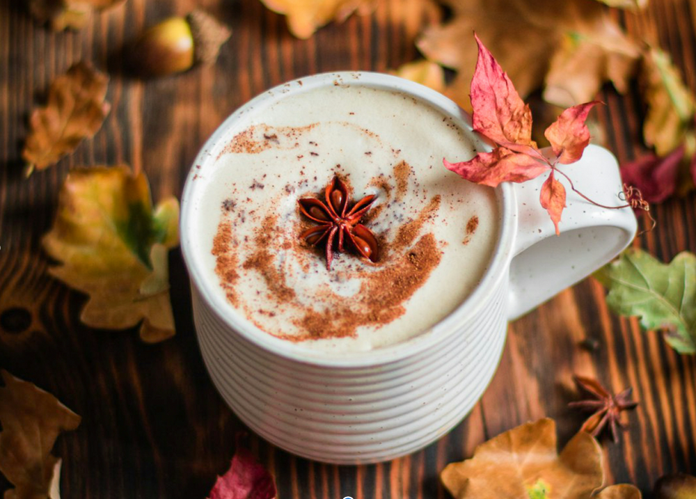 Chasing Autumn: Why Fall Can't Wait