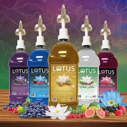 Lotus Energy Mix & Match