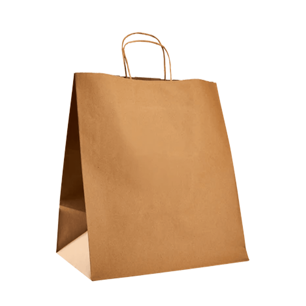 Karat Huntington Paper Shopping Bag with Twisted Handles - 13.4