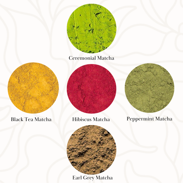Matcha Sampler – Barista Underground