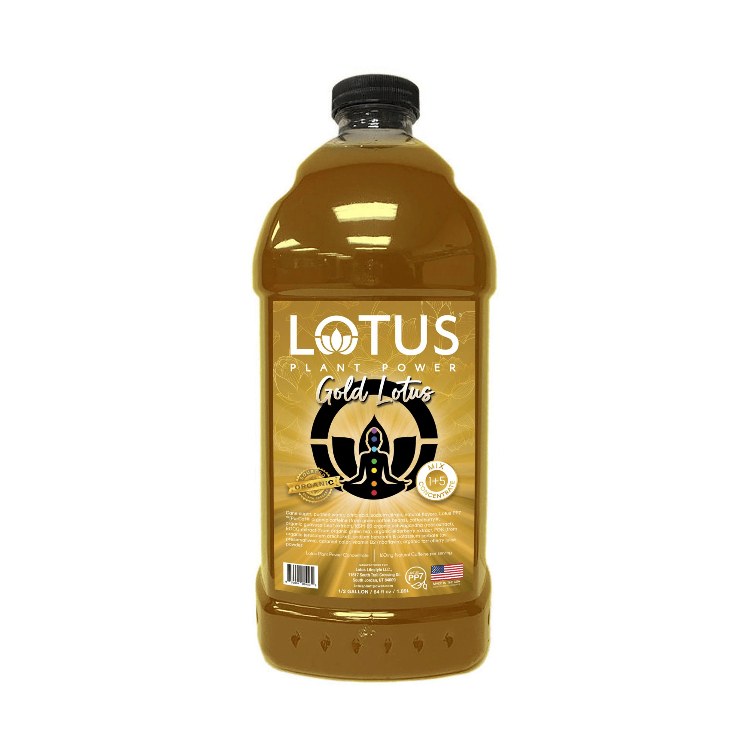 Lotus GOLD Energy Concentrate 1/2 Gallon – Barista Underground